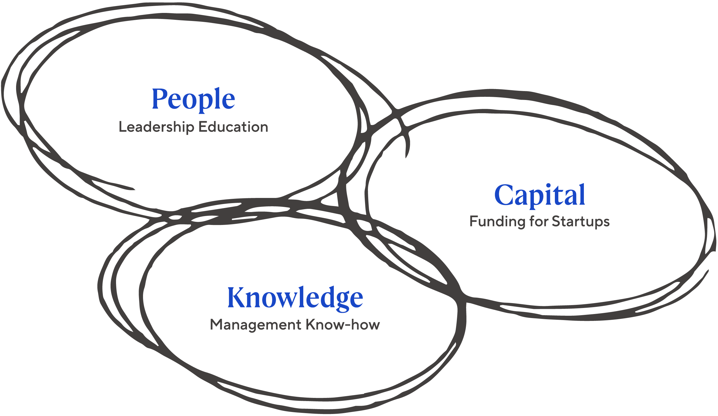 Diagram of the GLOBIS ecosystem consisting of people, capital and knowledge